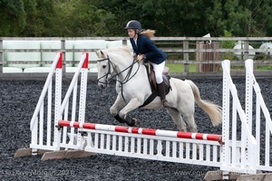 Class 3 -  Fences not above 2'3